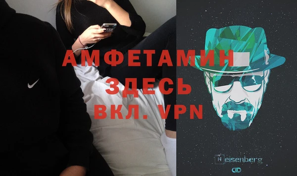 шишки Домодедово