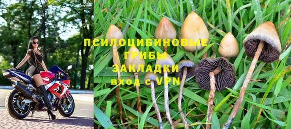 шишки Домодедово