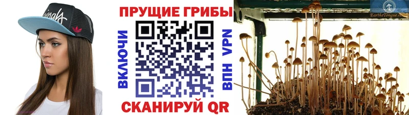 Галлюциногенные грибы GOLDEN TEACHER  Безенчук 